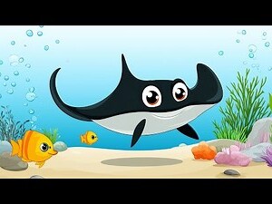 魟魚 意義